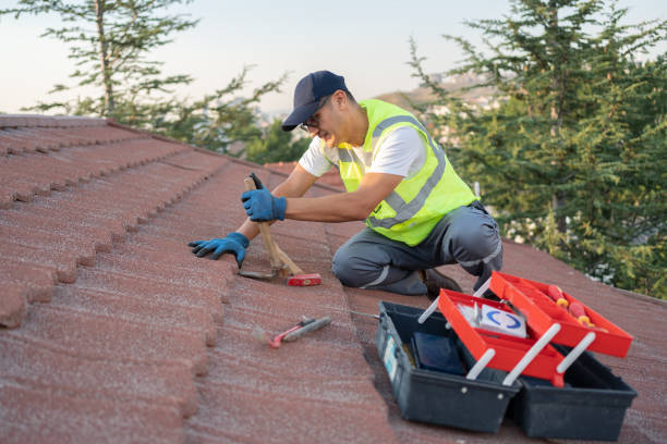 Best Metal Roofing Contractor  in Holiday Island, AR