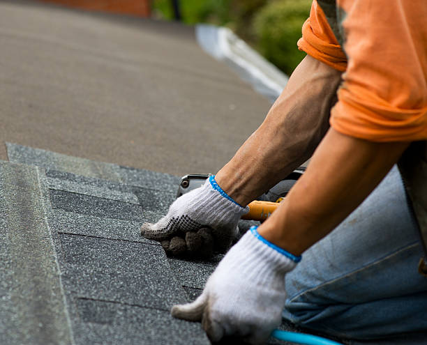 Best Commercial Roofing Services  in Holiday Island, AR